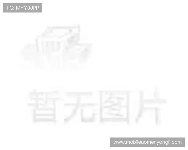 永利澳门手机网站支持多种支付方式方便玩家快速存取款项