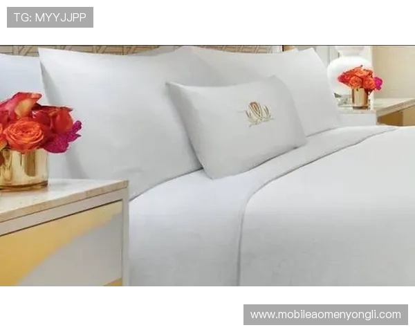 永利皇宫官网客服如何保障用户信息安全与隐私保护措施