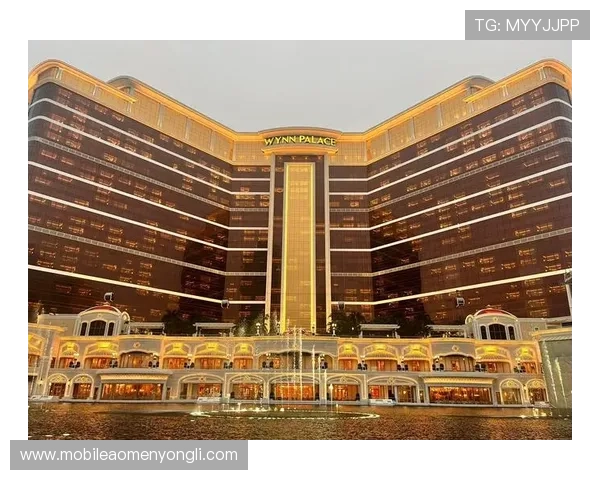 澳門永利皇宫备用网址2024年最新官方登录地址全攻略