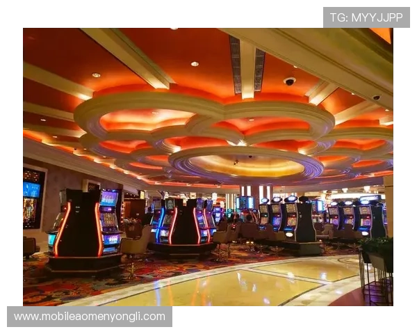 澳门四大贵宾厅的详细地址及其交通指南全面解析