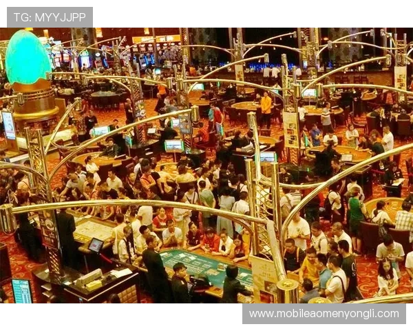 澳门永利娱乐休闲设施介绍，丰富的娱乐项目满足不同游客需求