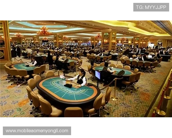 澳门有名气的赌场排名前十的豪华赌场场所详细介绍