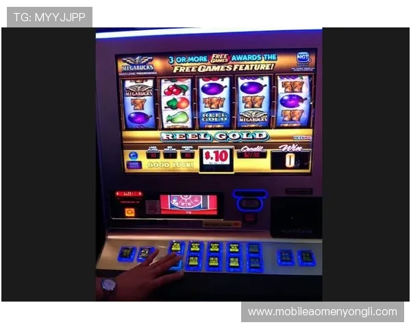 澳门角子机区热门机型推荐与玩家口碑分析助你选择最具赢面机台