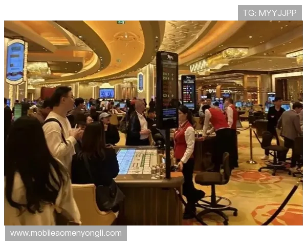 澳门赌场叫什么名字，详细解析澳门主要赌场的名称、背景和特色，助你规划完美的博彩之旅