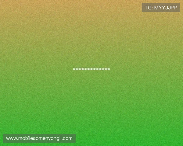 孙继海在水晶宫的表现如何影响了球队的整体战术布局 孙继海在水晶宫的表现如何影响了球队的整体战术布局